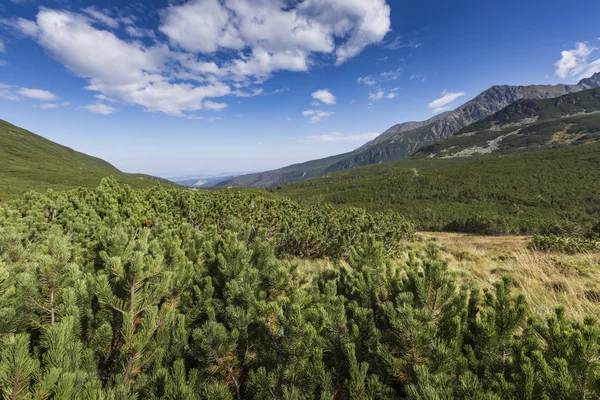 Hiking trail dan tatra Dağları manzarası. Polonya. Avrupa. — Stok fotoğraf