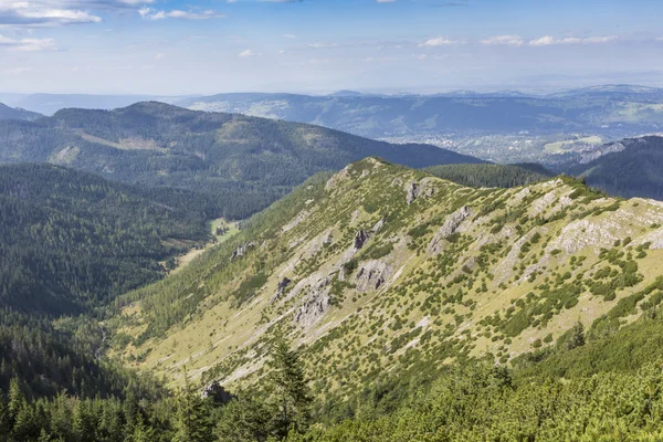 Η θέα των βουνών tatra από πεζοπορική διαδρομή. Πολωνία. Ευρώπη. — Φωτογραφία Αρχείου