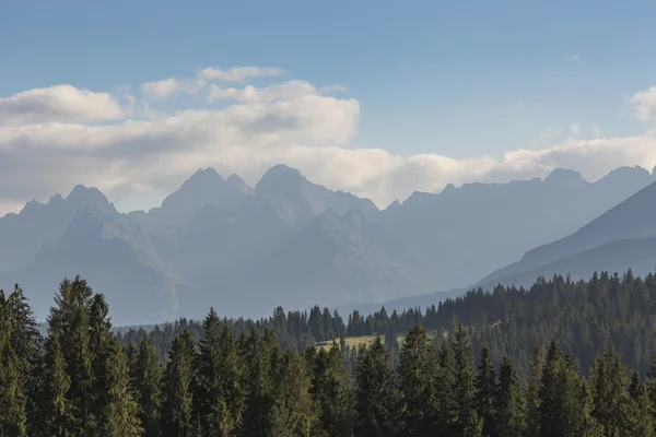 Vista dei Monti Tatra dal sentiero escursionistico. Polonia. L'Europa . — Foto Stock