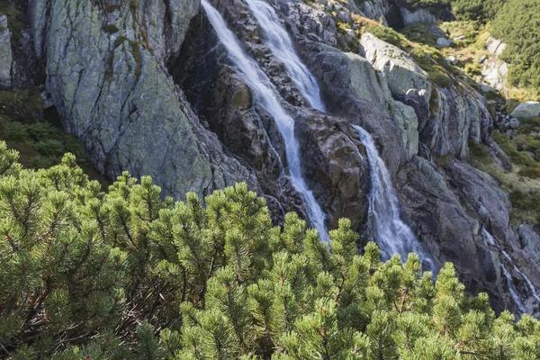 Cascade Siklawa dans les montagnes Tatra — Photo