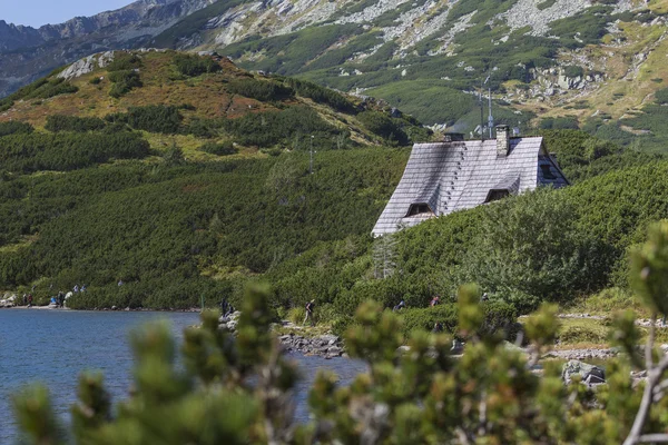 Houten chalet. Dak van houten hostel tussen de dwerg pine tr — Stockfoto