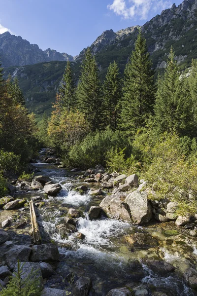 Roztoka Stream em Roztoka Valley. Parque Nacional Tatra. Tatr alto — Fotografia de Stock