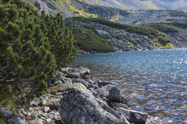 उन्हाळ्यात उच्च टाट्रा पर्वत 5 तलाव खो valley्यात — स्टॉक फोटो, इमेज