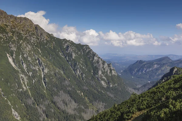 Polen - Tatra nasjonalpark i Tatra Mountains, del av Carpath – stockfoto