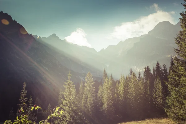 Hiking trail dan tatra Dağları manzarası. Polonya. Avrupa. — Stok fotoğraf