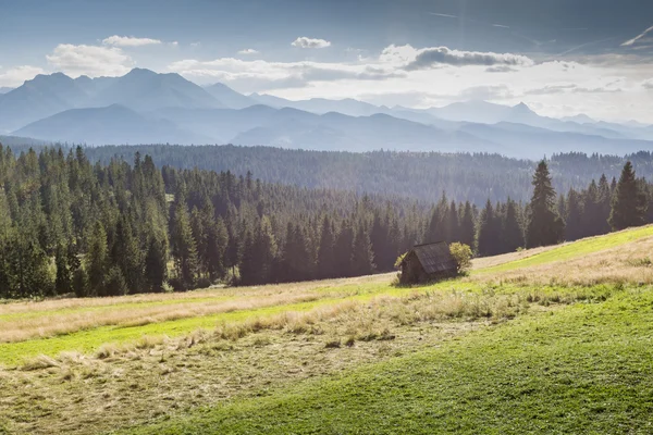 Vista das Montanhas Tatra a partir de trilhas para caminhadas. Polônia. A Europa . — Fotografia de Stock