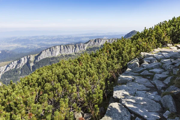 Η θέα των βουνών tatra από πεζοπορική διαδρομή. Πολωνία. Ευρώπη. — Φωτογραφία Αρχείου