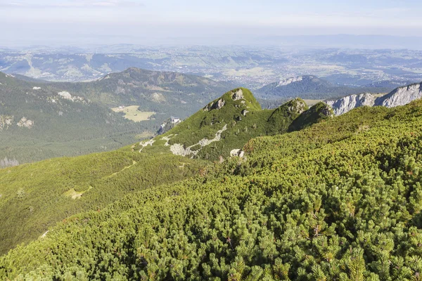 Η θέα των βουνών tatra από πεζοπορική διαδρομή. Πολωνία. Ευρώπη. — Φωτογραφία Αρχείου