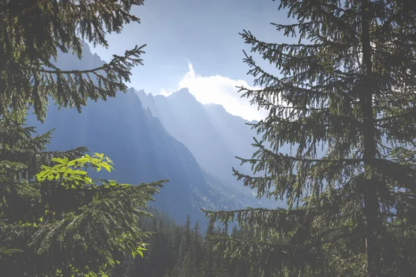 Polen - Tatra natuurpark in het Tatra gebergte, onderdeel van Carpath — Stockfoto