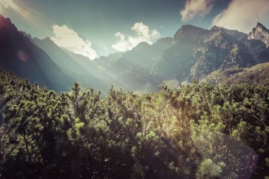Yeşil su dağı Morskie Oko Gölü, Tatra Dağları, Polonya