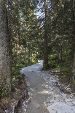 Polonya - Tatra milli parkta Tatra Dağları, Carpath parçası