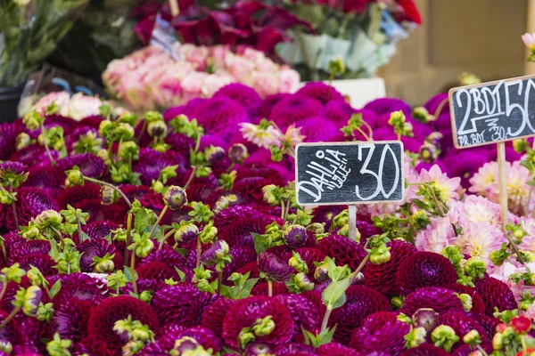 Kolorowe bukiety kwiatów dalii w rynku w Kopenhadze, De — Zdjęcie stockowe