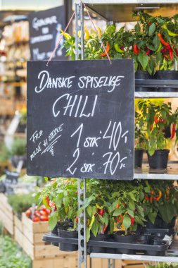 taze ve organik sebze Çiftçi Market