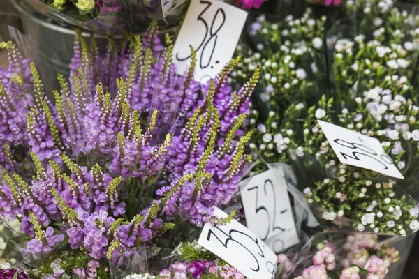 Venkovní květinový trh v Kodani, Dánsko. — Stock fotografie