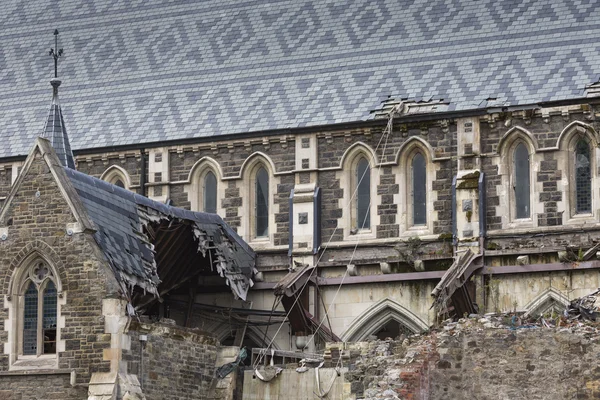 CHRISTCHURCH, NEW ZEALAND, NOVEMBER 08 - The iconic Anglican Cat — Stock Photo, Image