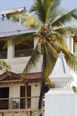 Zanzibar, Tanzanya -18 Ocak 2015 - Stone Town (Mji Mkongwe), t