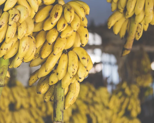 Bananas on the market — Stock Photo, Image