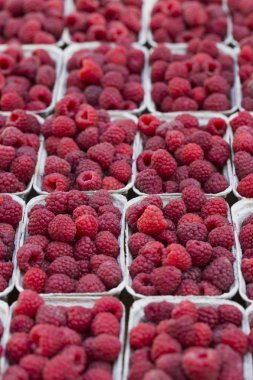 Yerel çiftlik Market kutularındaki Kırmızı Ahududu