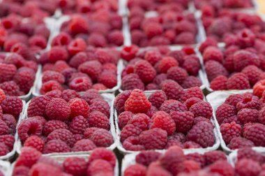 Yerel çiftlik Market kutularındaki Kırmızı Ahududu