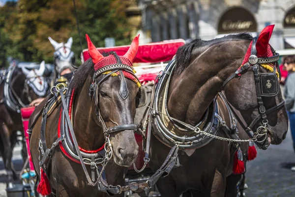 Horse Carriage waiting for tourists at the Old Square in Prague. — Stock Photo, Image