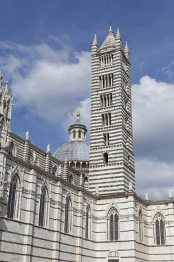 Siena Katedrali, mübarek Virg varsayım için adanmış