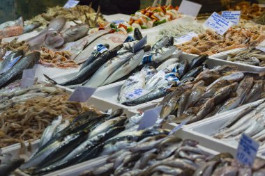 Bologna taze balık pazarı, İtalya.