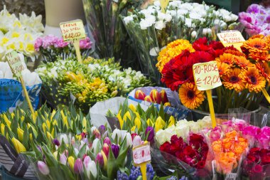 çiçekler, çiçek pazarı, Milano, İtalya