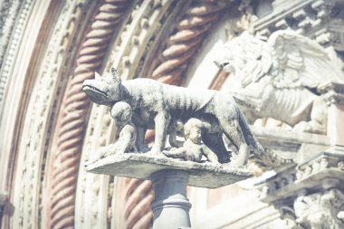 Bir dişi-kurt bebekler Romulus ve Remus emziriyorlar. Ital Siena