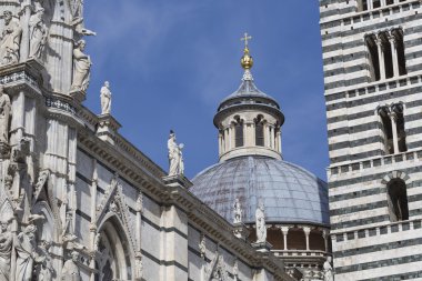 Siena Katedrali, mübarek Virg varsayım için adanmış