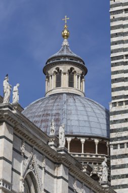 Siena Katedrali, mübarek Virg varsayım için adanmış