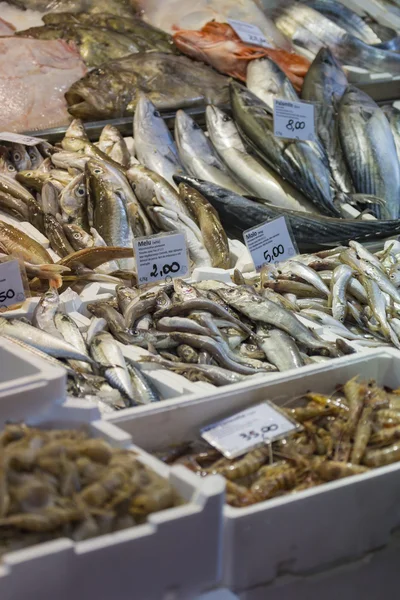 Bologna čerstvé rybí trh, Itálie. — Stock fotografie