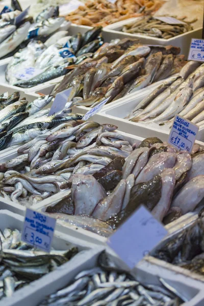 Mercado de pescado fresco de Bolonia, Italia . — Foto de Stock