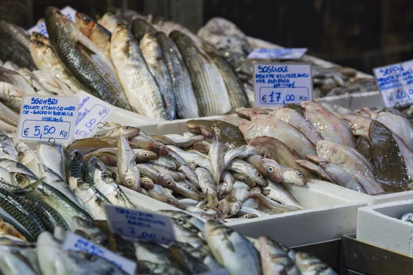 Bologna čerstvé rybí trh, Itálie. — Stock fotografie