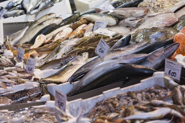 Bologna friss halpiac, Olaszország. — Stock Fotó