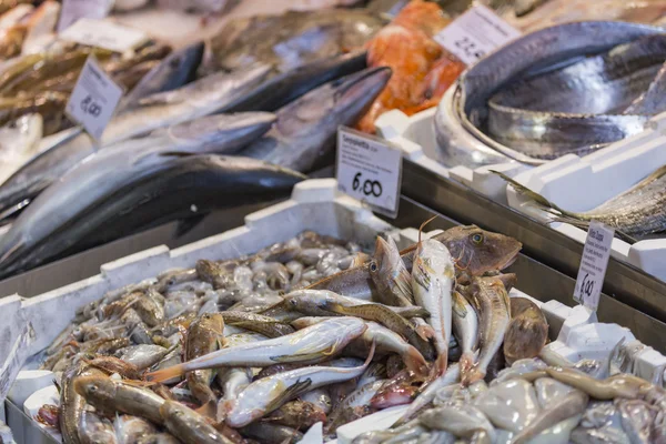 Bolonha mercado de peixe fresco, Itália . — Fotografia de Stock