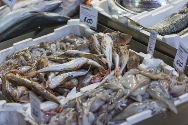 Bolonha mercado de peixe fresco, Itália . — Fotografia de Stock