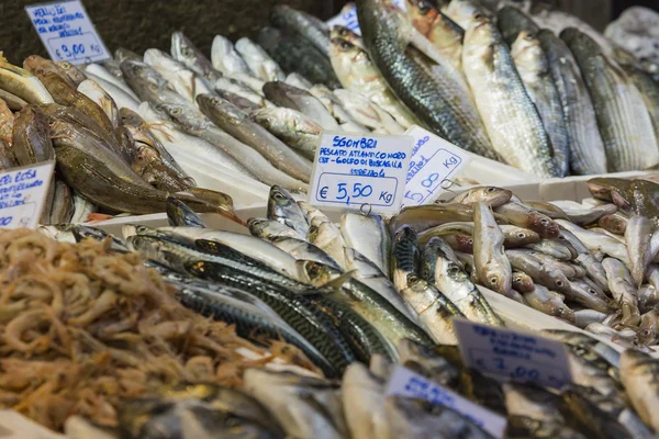 Bolonha mercado de peixe fresco, Itália . — Fotografia de Stock