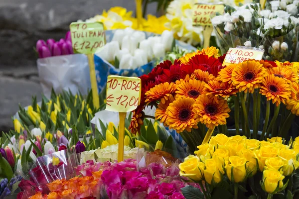 Blommor på en blomstermarknaden i Milano, Italien — Stockfoto