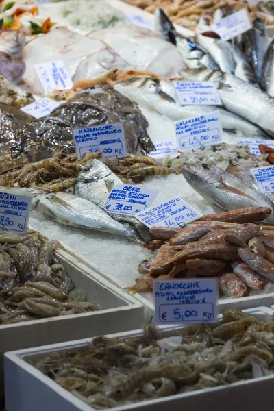 Mercado de pescado fresco de Bolonia, Italia . — Foto de Stock