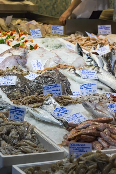 Bolonha mercado de peixe fresco, Itália . — Fotografia de Stock