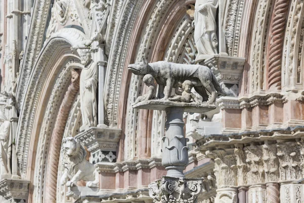 Ona vlk, Kojenecká kojenců Romulus a Remus. Siena v Ital — Stock fotografie