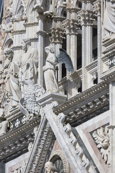 Catedral de Siena, dedicada à Assunção da Virgem Santíssima — Fotografia de Stock