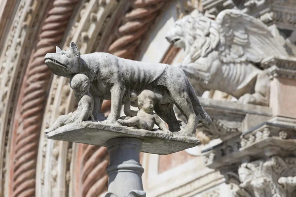 Ona vlk, Kojenecká kojenců Romulus a Remus. Siena v Ital — Stock fotografie