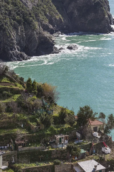 Klif boven de zee, Cinque Terre, Italië — Stockfoto