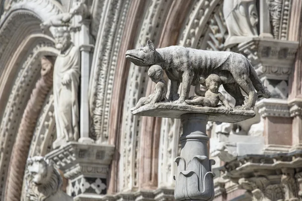 Siena katedrála, věnované Nanebevzetí požehnané Virgu — Stock fotografie