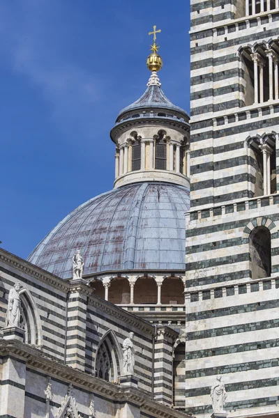 Siena Cathedral, dedicated to the Assumption of the Blessed Virg — Stock Photo, Image