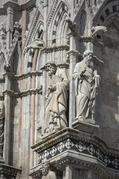 Sienas katedral, tillägnad antagandet av den välsignade Virg — Stockfoto