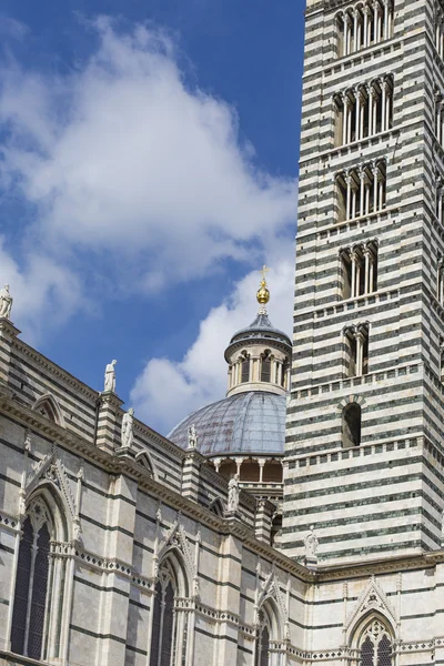 Kathedraal van Siena, gewijd aan de veronderstelling van de gezegende Virg — Stockfoto