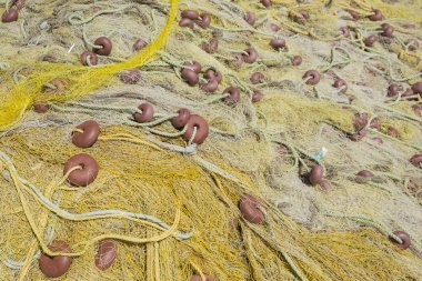 Eski sarı balık ağlarına Kuru