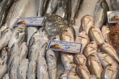 Taze balık Balık pazarında - Yunanistan